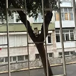 Twin Double X2 * Istanbulská provincie