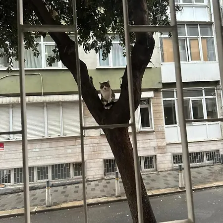 Twin Double X2 * Isztambul