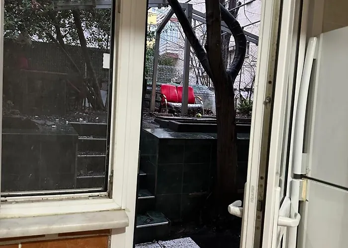 Twin Double X2 Проживание в семье *