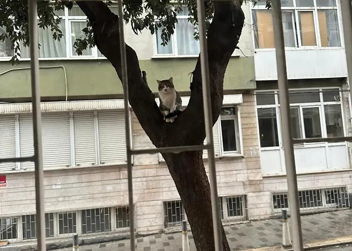 Twin Double X2 * Стамбул